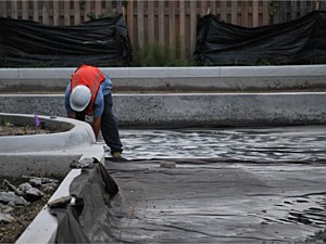 Final placement of the geotextile up curbing